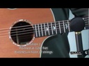 youtube - [Video]