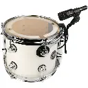 D2TRIO 5.webp