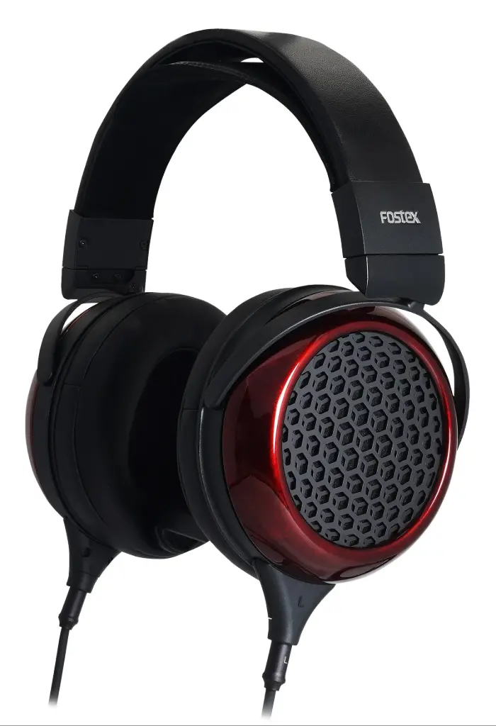Fostex TH-919 Premium Biodyna Open Back Headphones SKU# TH-919