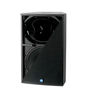 Renkus-Heinz CX Series CX151 15" LF + 1" HF Two-way, Complex Conic Loudspeaker SKU# CX151